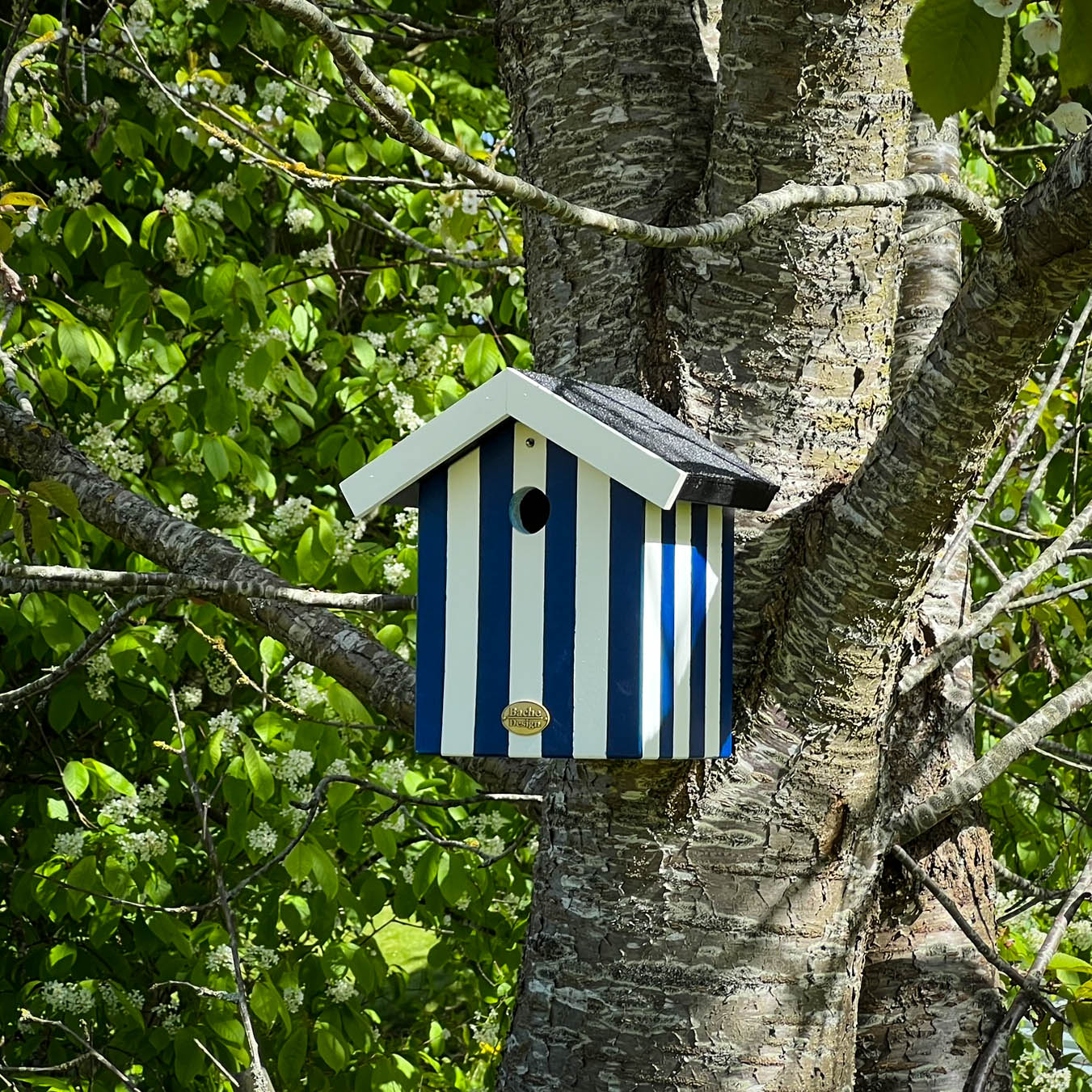 Fuglehus til musvitter - 'Badehus'