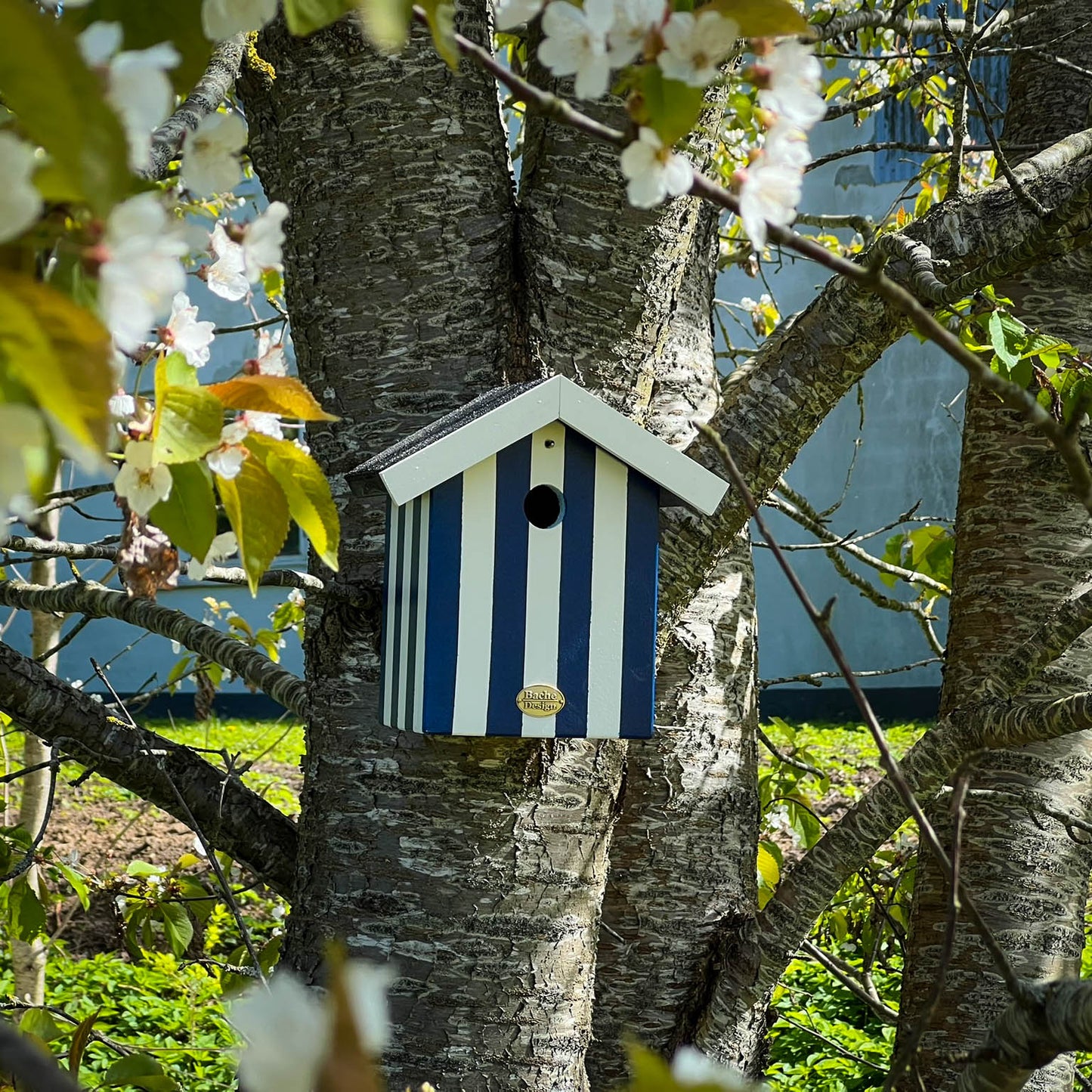 Fuglehus til musvitter - 'Badehus'