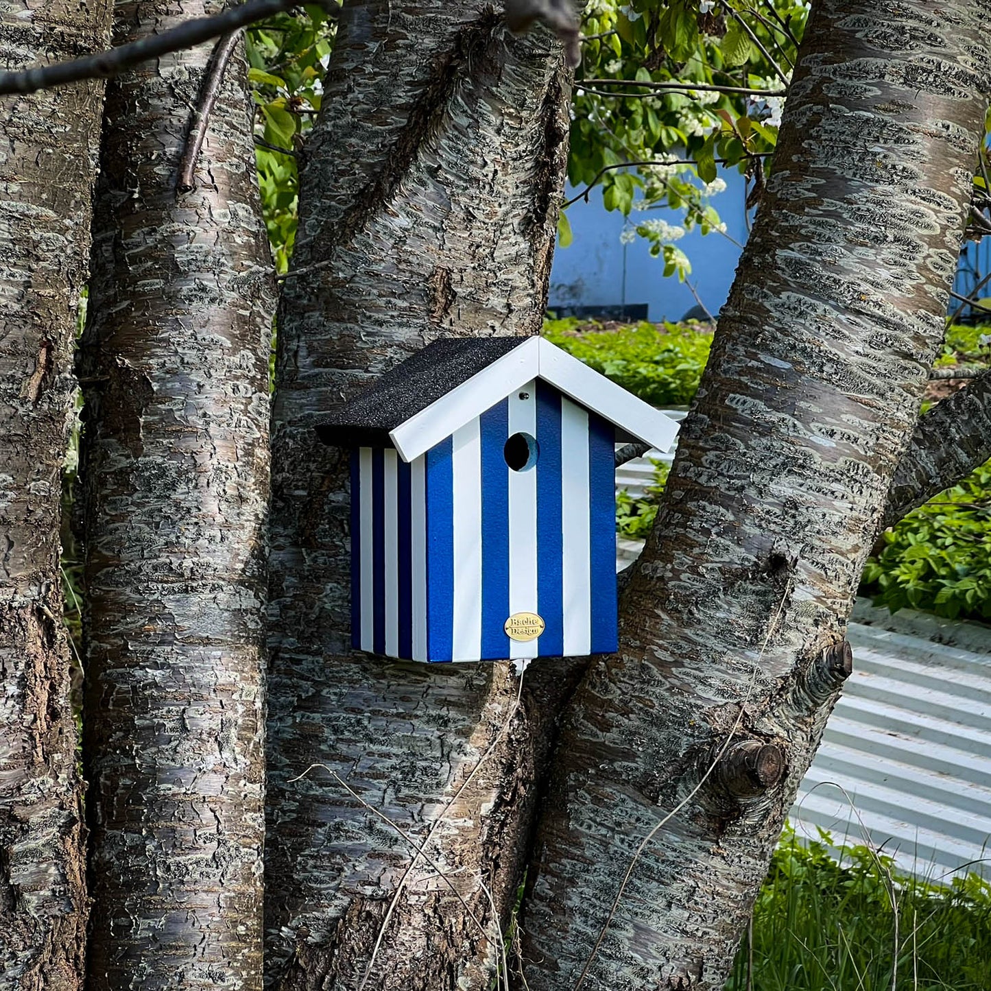 Fuglehus til musvitter - 'Badehus'