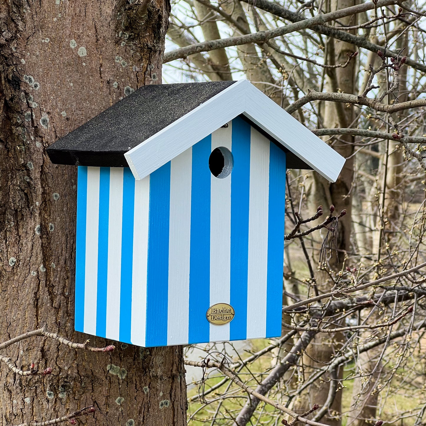 Fuglehus til musvitter - 'Badehus'