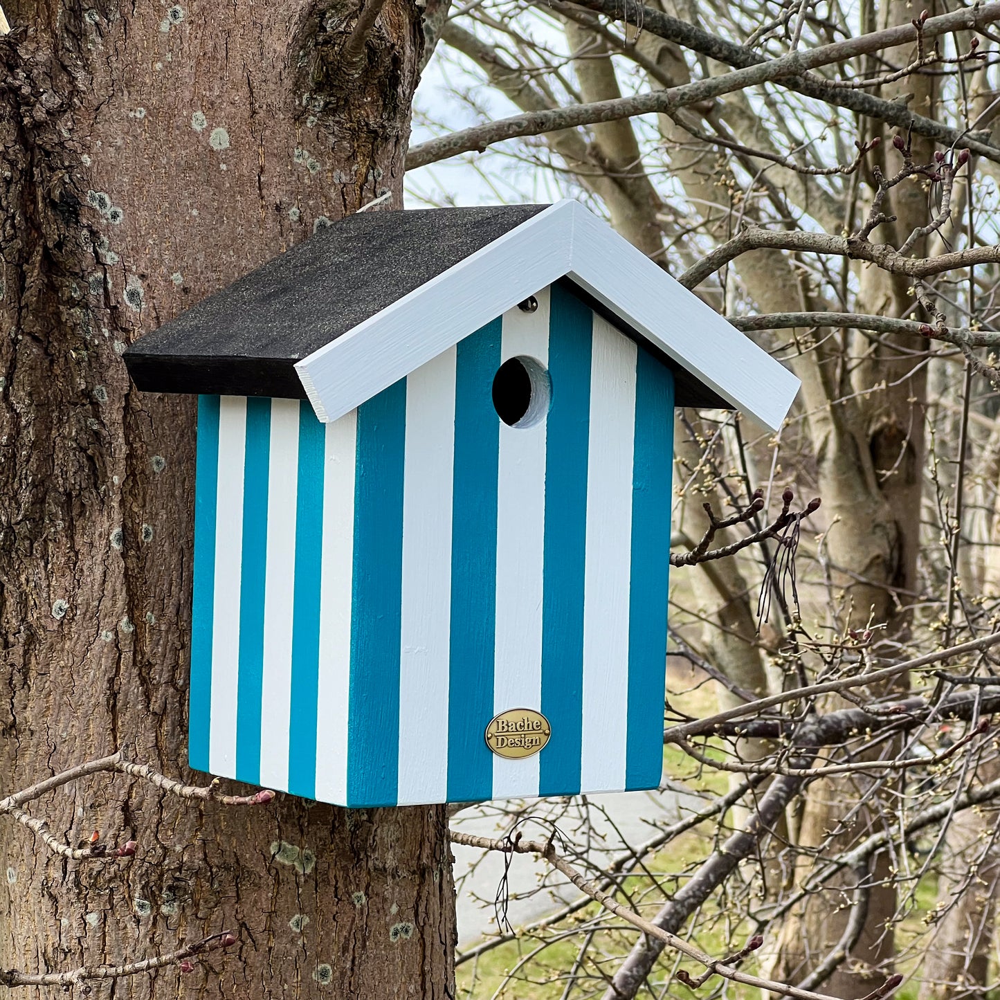 Fuglehus til musvitter - 'Badehus'