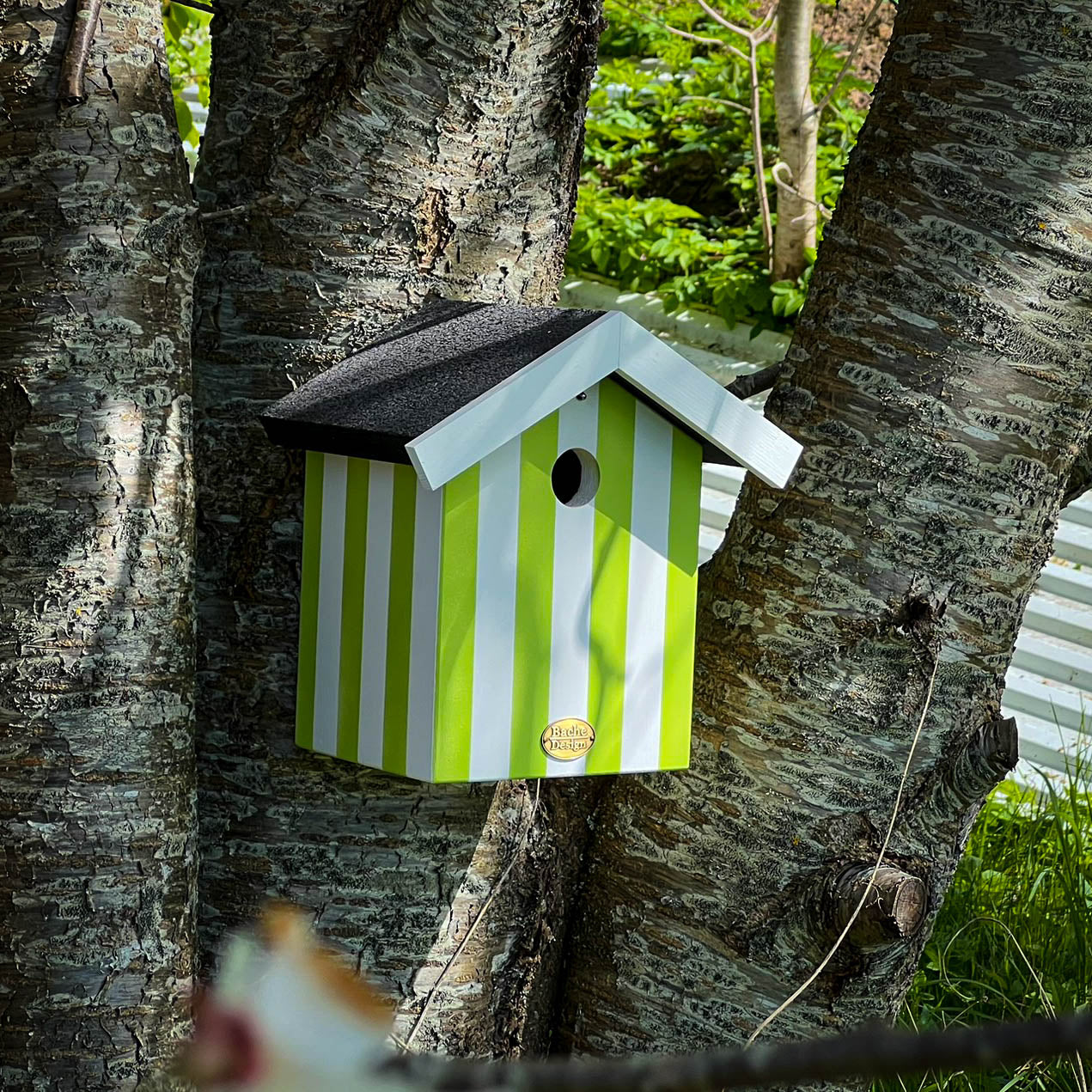 Fuglehus til musvitter - 'Badehus'