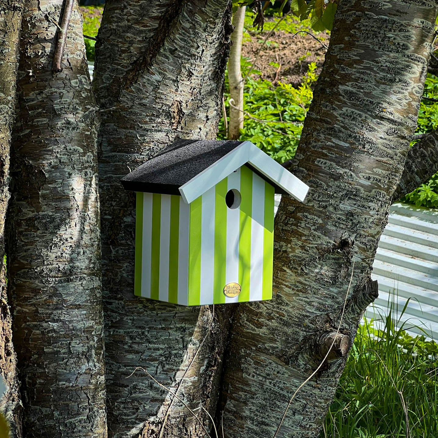 Fuglehus til musvitter - 'Badehus'
