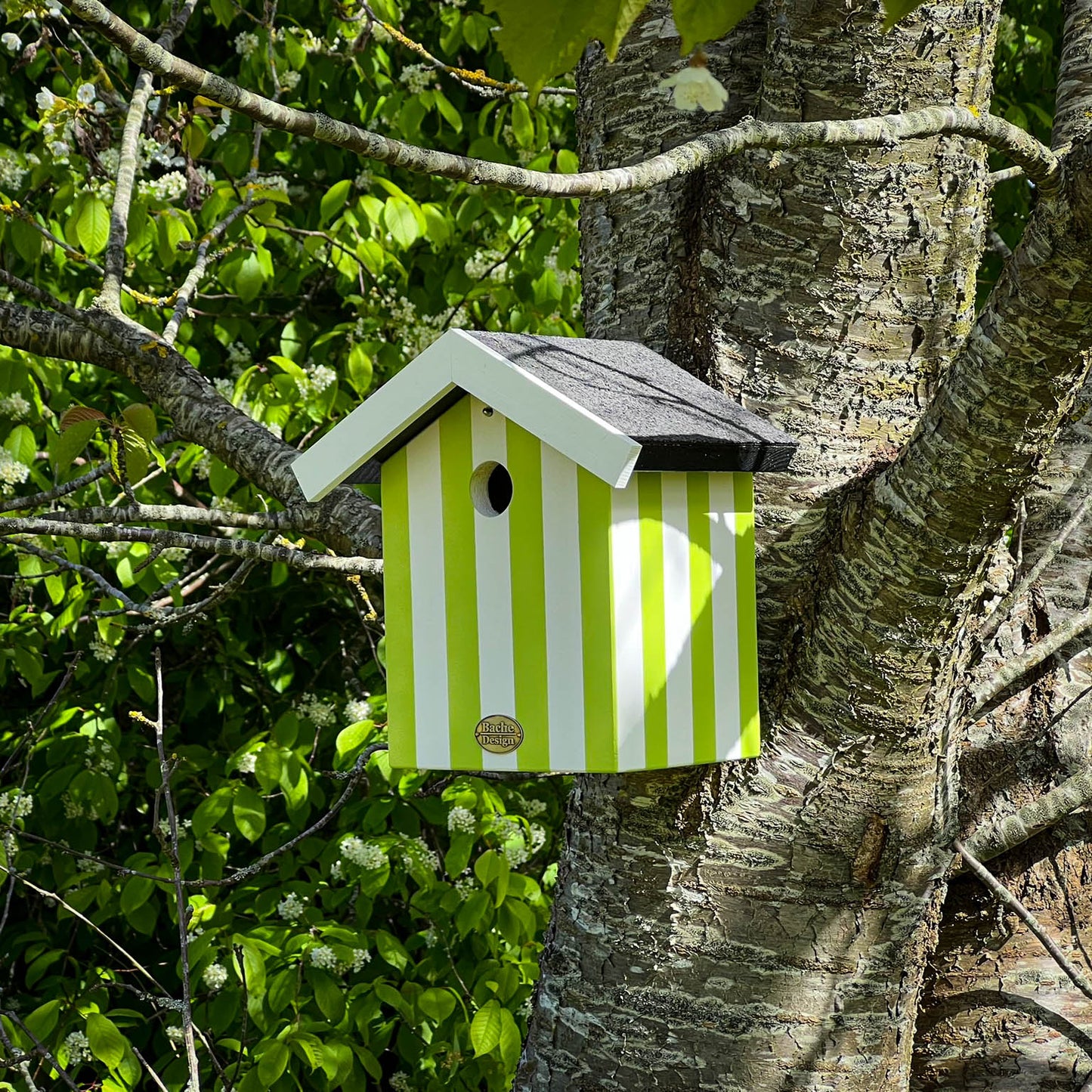 Fuglehus til musvitter - 'Badehus'