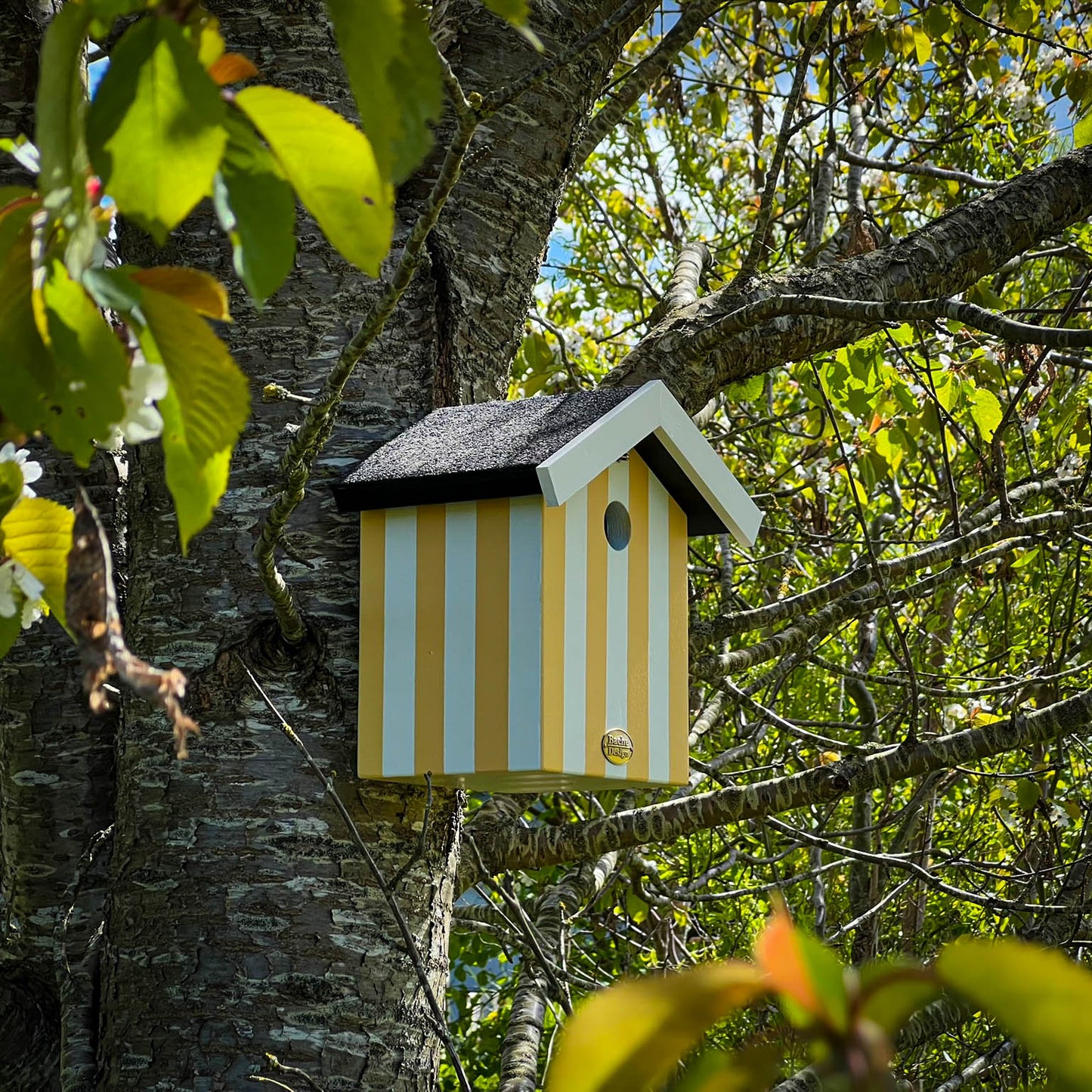 Fuglehus til musvitter - 'Badehus'