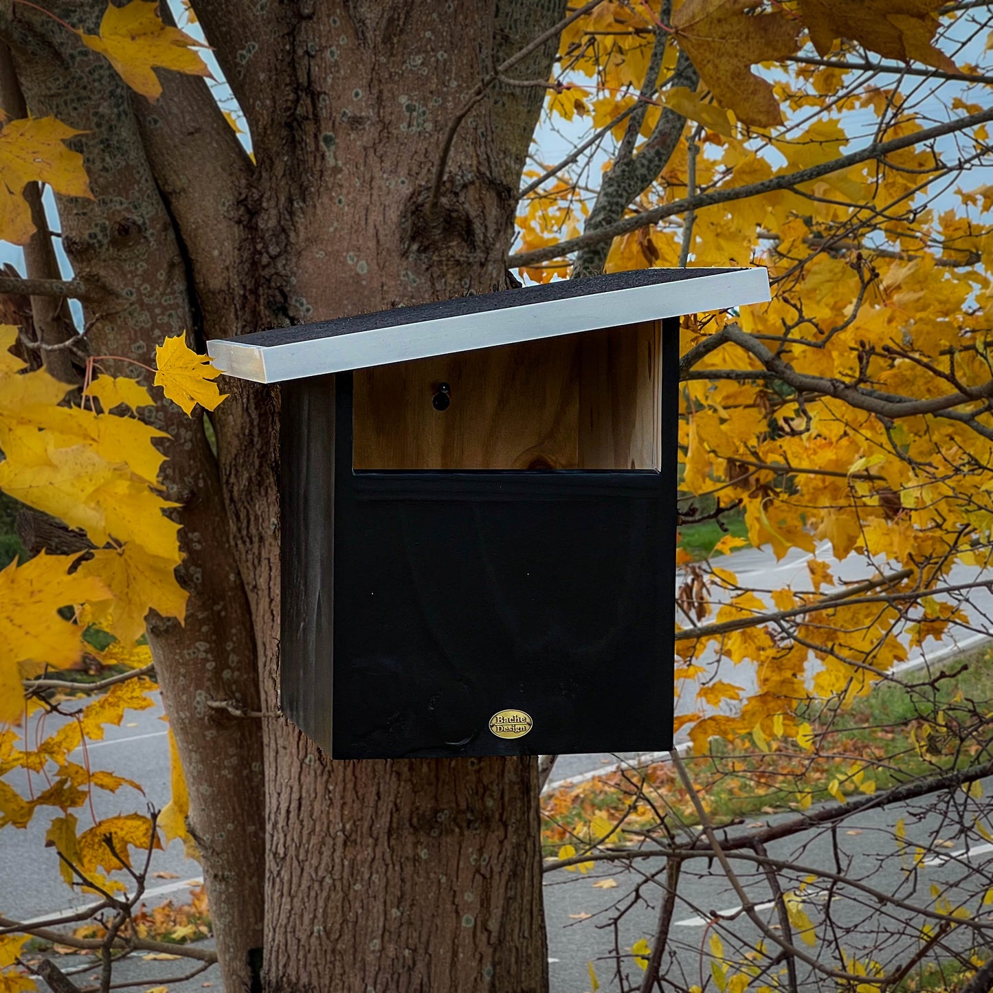 Redekasse til Tårnefalk