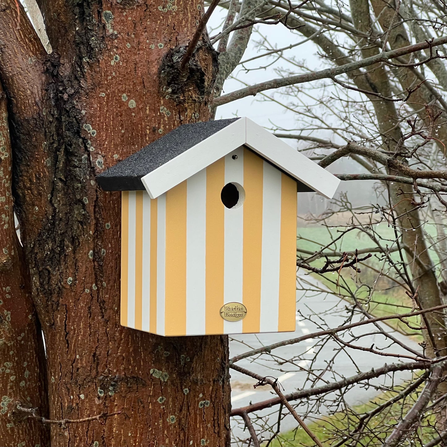 Fuglehus til musvitter - 'Badehus'