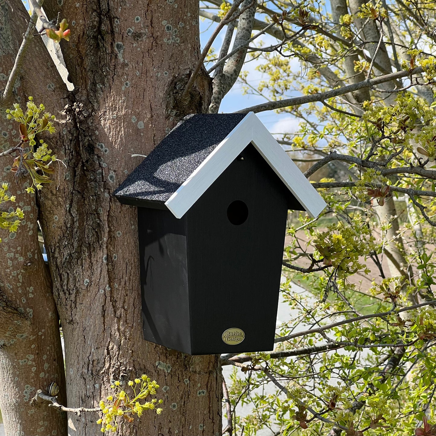 Fuglehuset 'Salvig'
