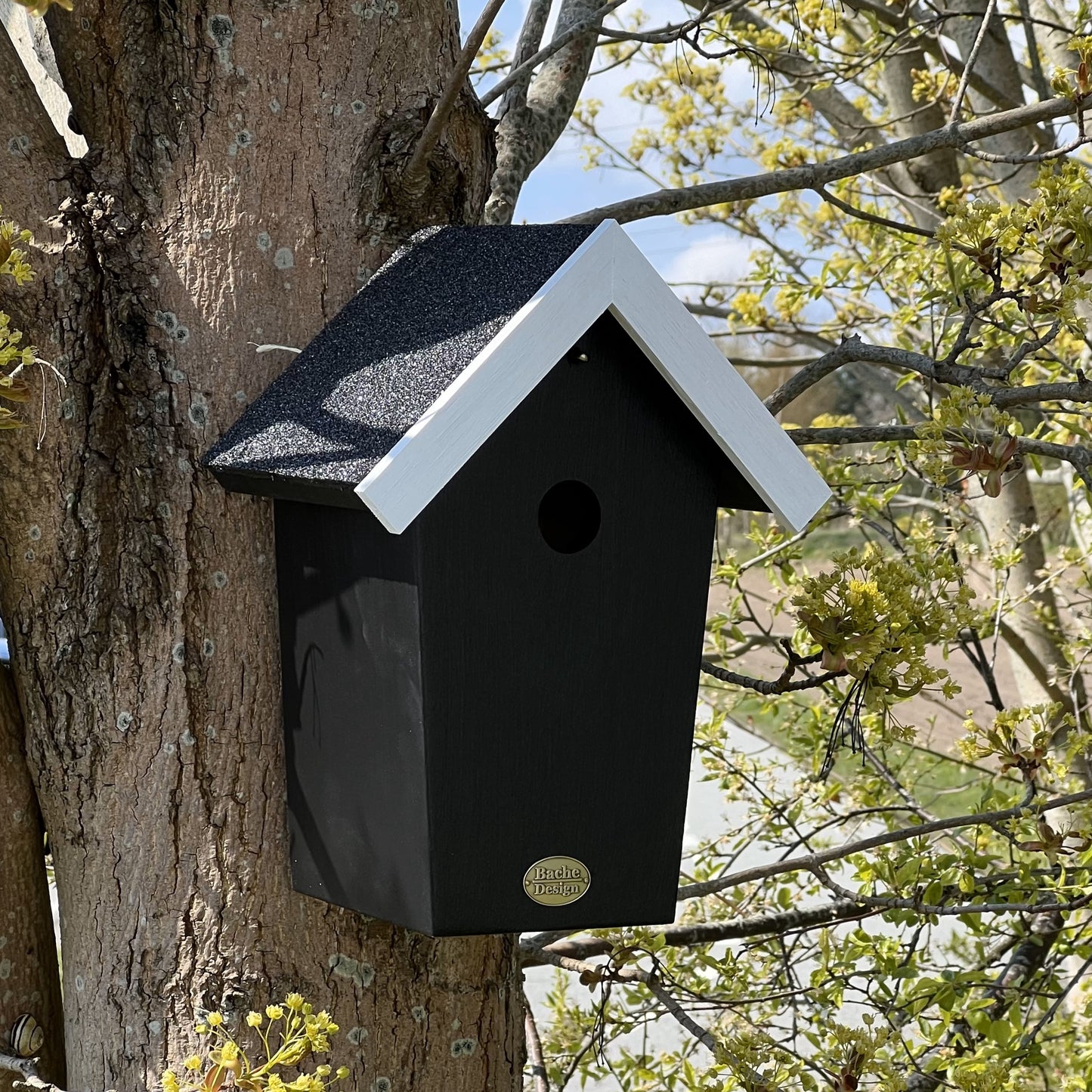 Fuglehuset 'Salvig'