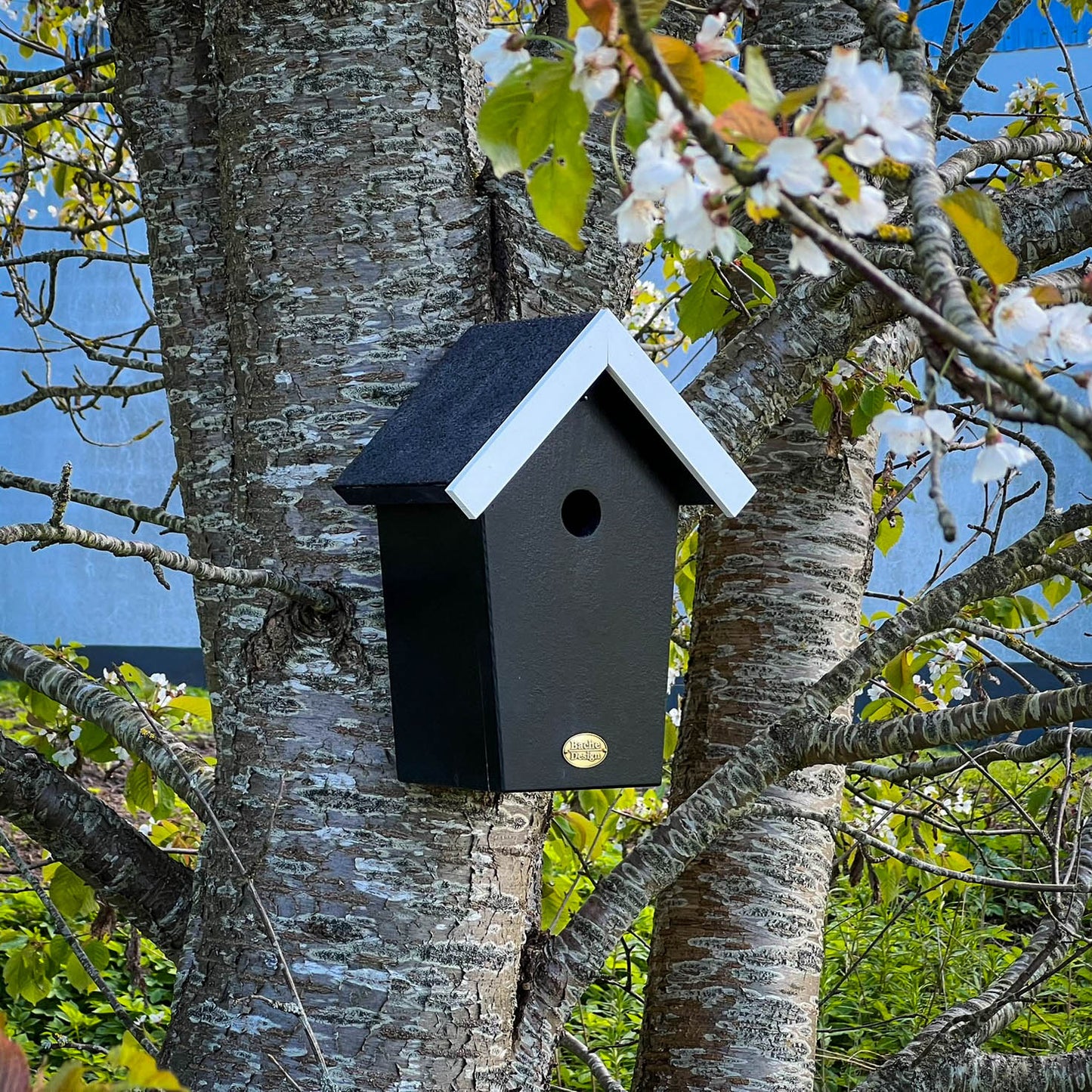 Fuglehuset 'Salvig'