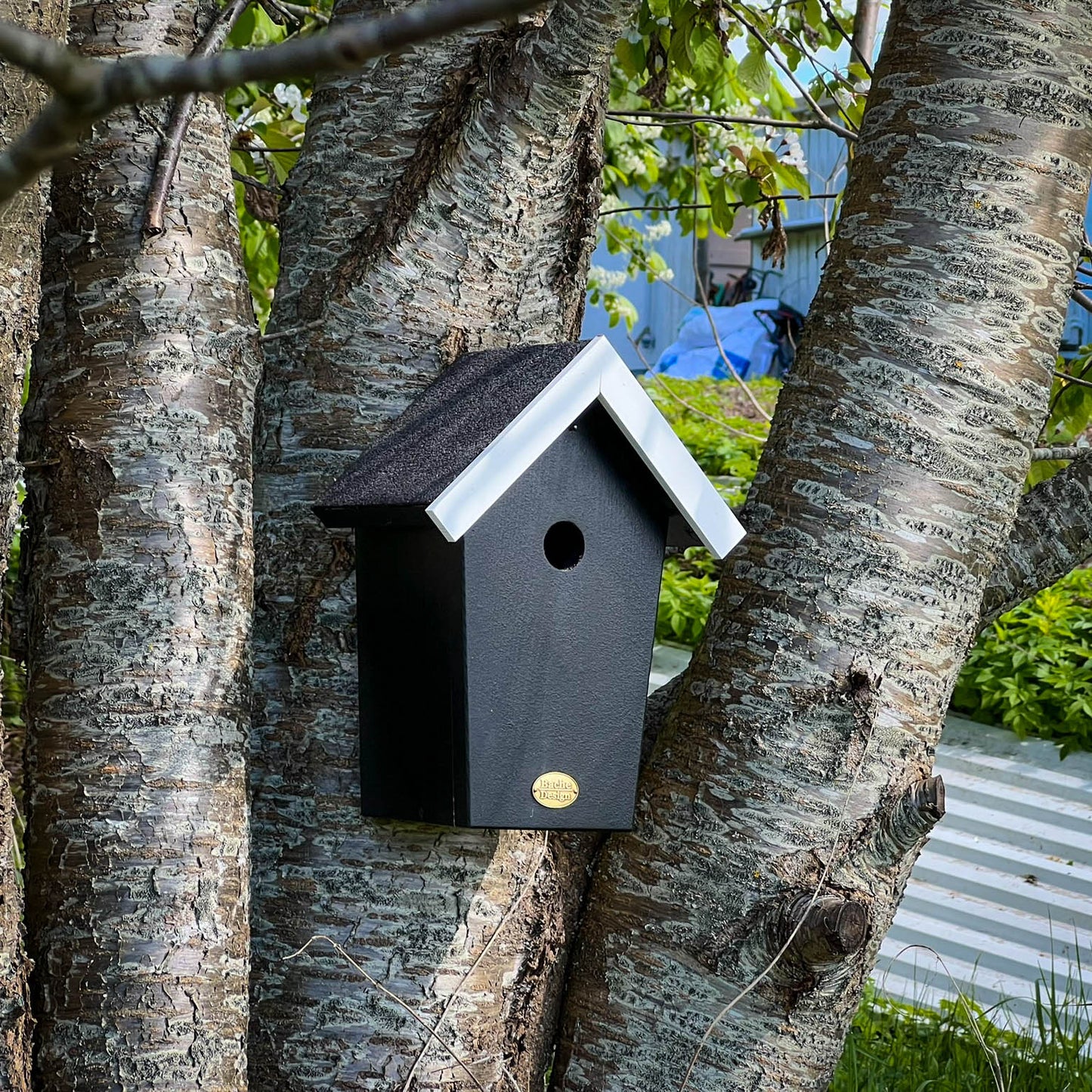 Fuglehuset 'Salvig'