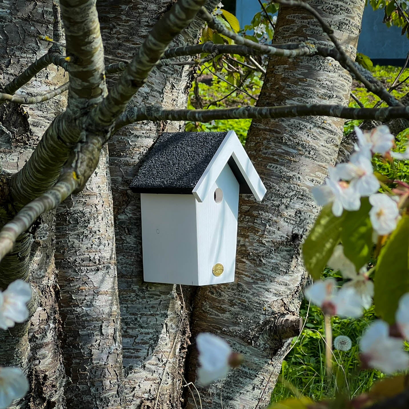 Fuglehuset 'Salvig'