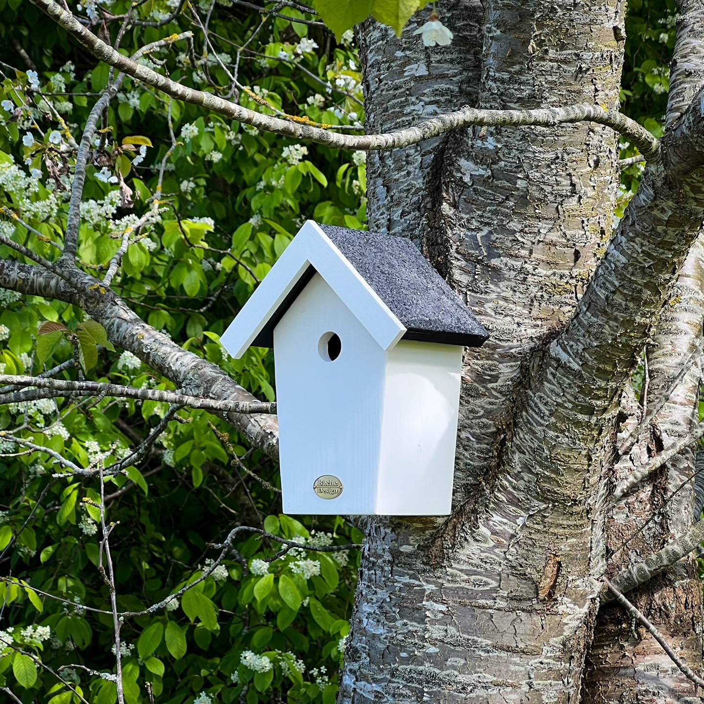 Fuglehuset 'Salvig'