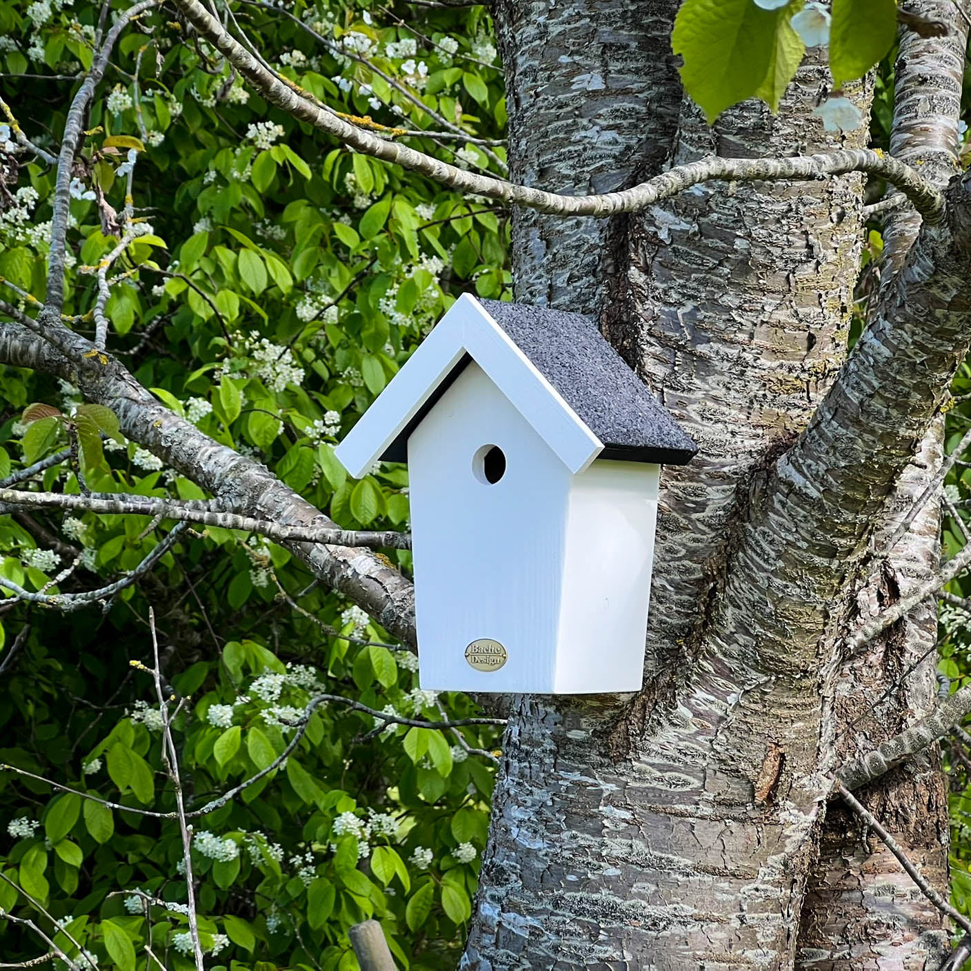 Fuglehuset 'Salvig'