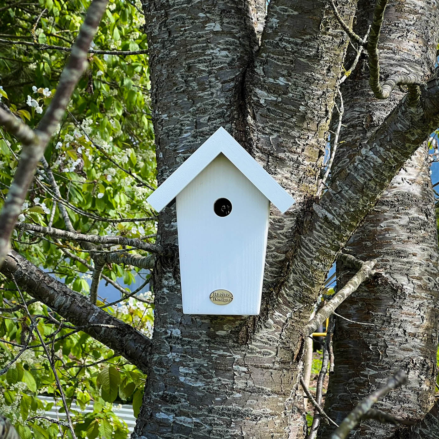 Fuglehuset 'Salvig'
