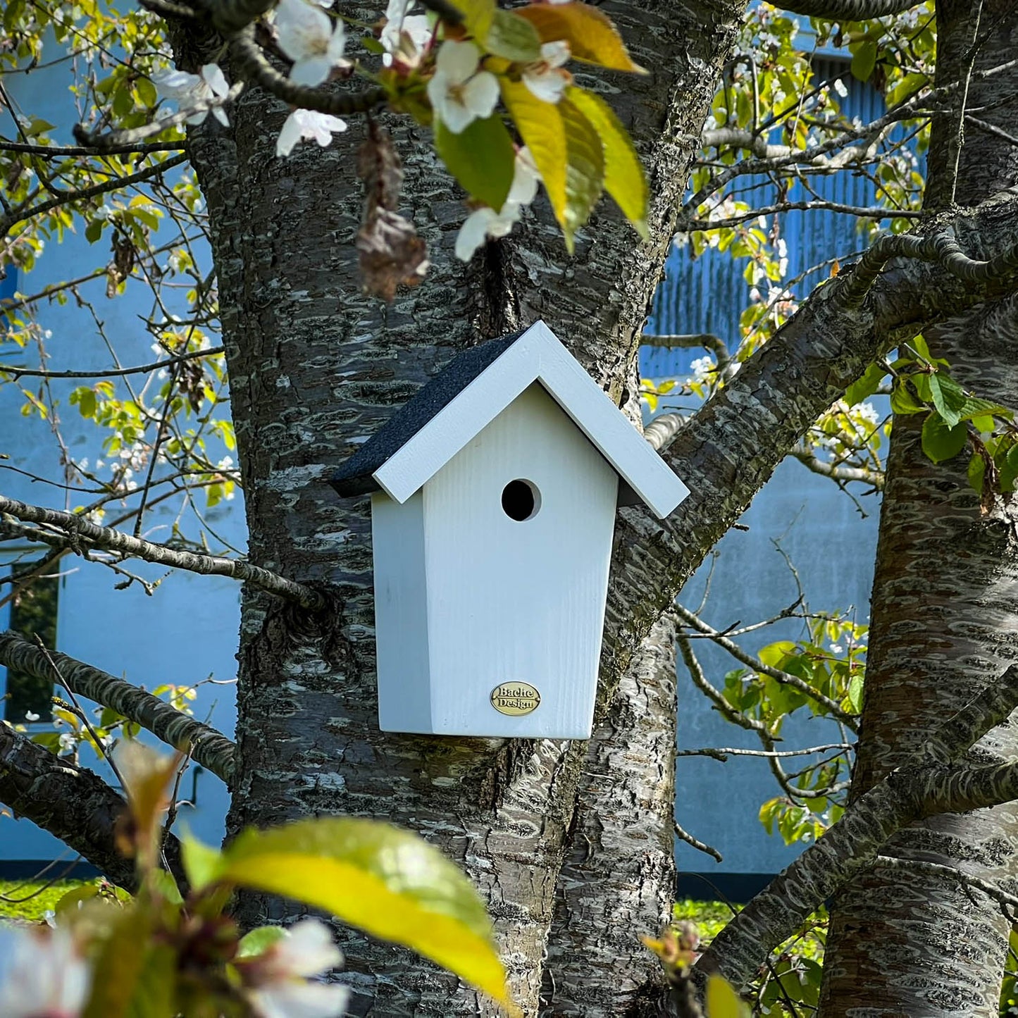 Fuglehuset 'Salvig'