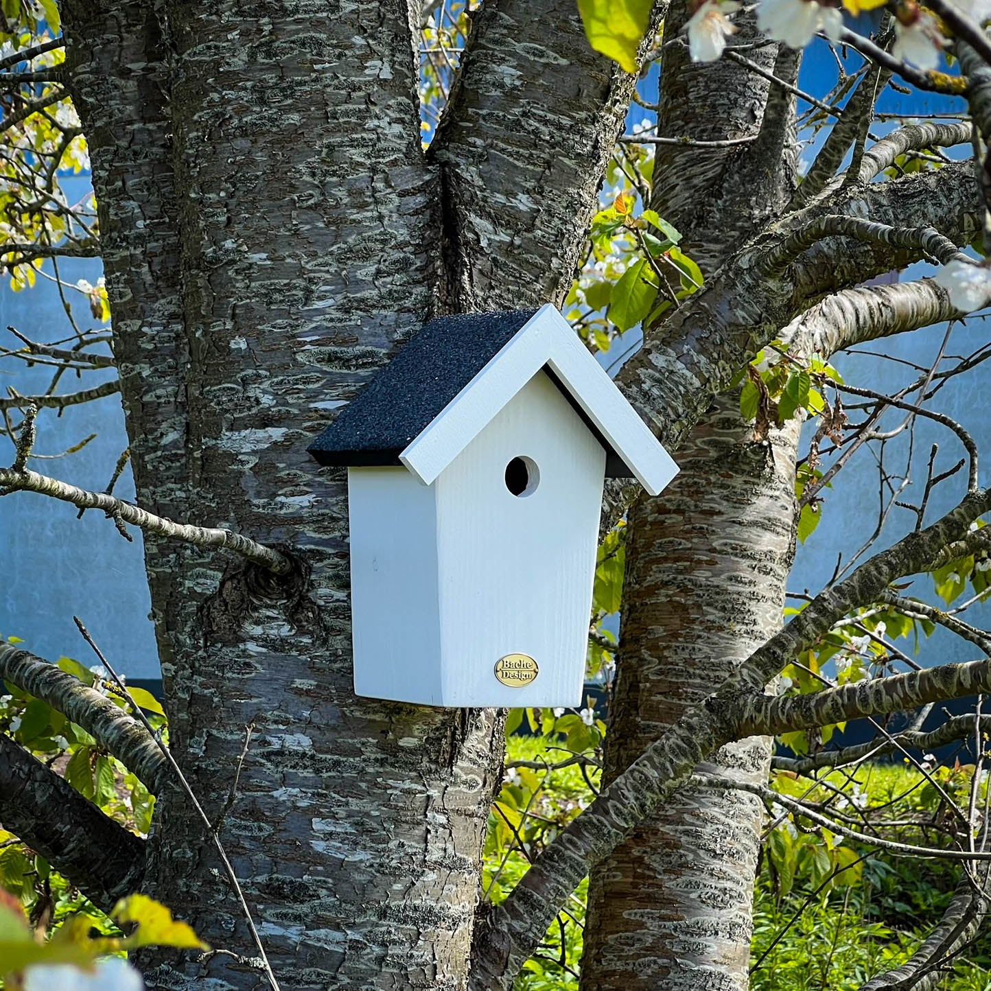 Fuglehuset 'Salvig'