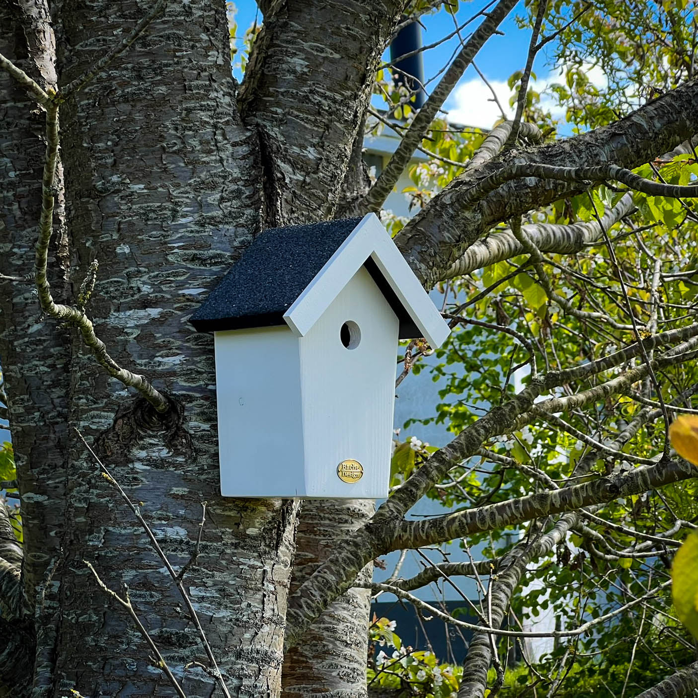 Fuglehuset 'Salvig'