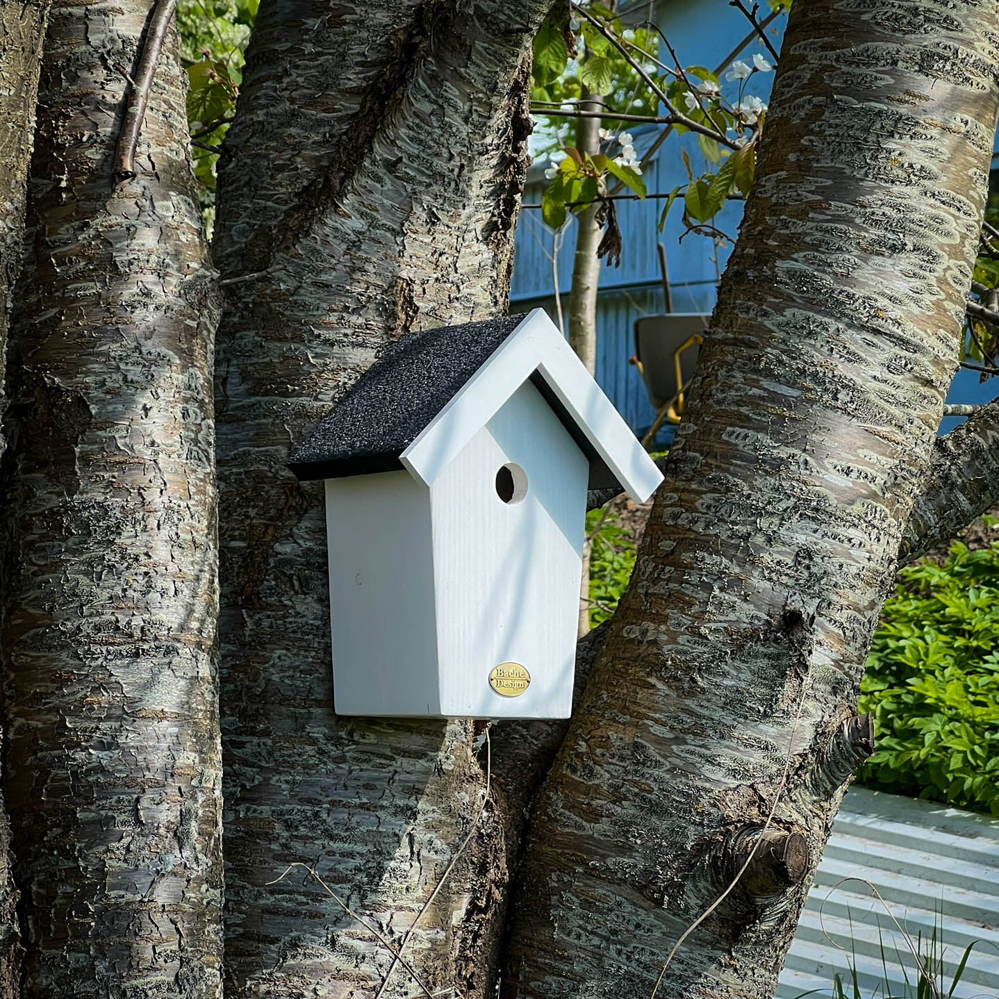 Fuglehuset 'Salvig'