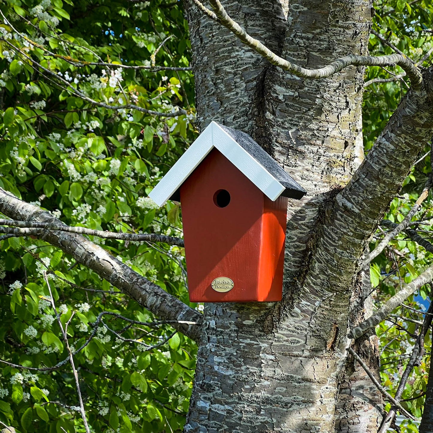 Fuglehuset 'Salvig'