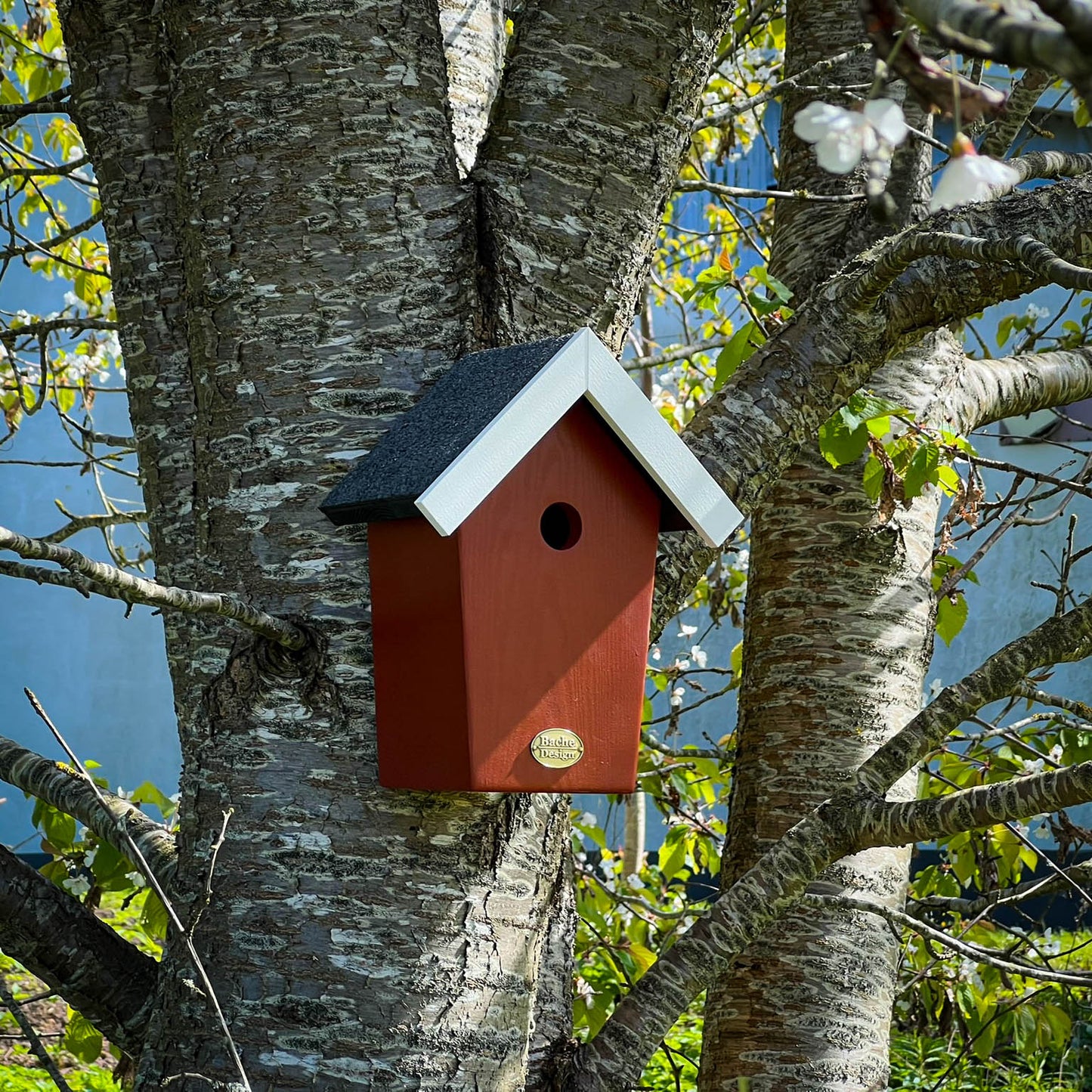 Fuglehuset 'Salvig'