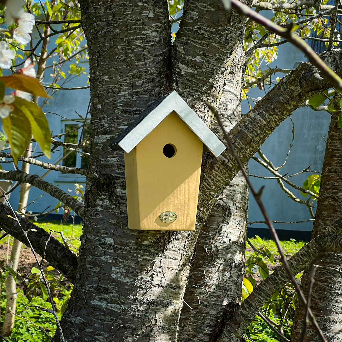 Fuglehuset 'Salvig'