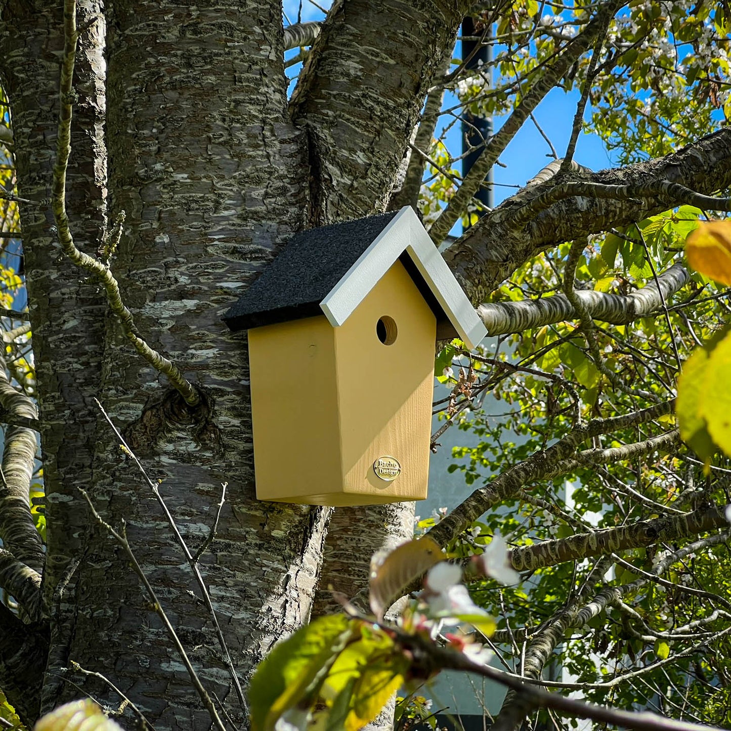 Fuglehuset 'Salvig'