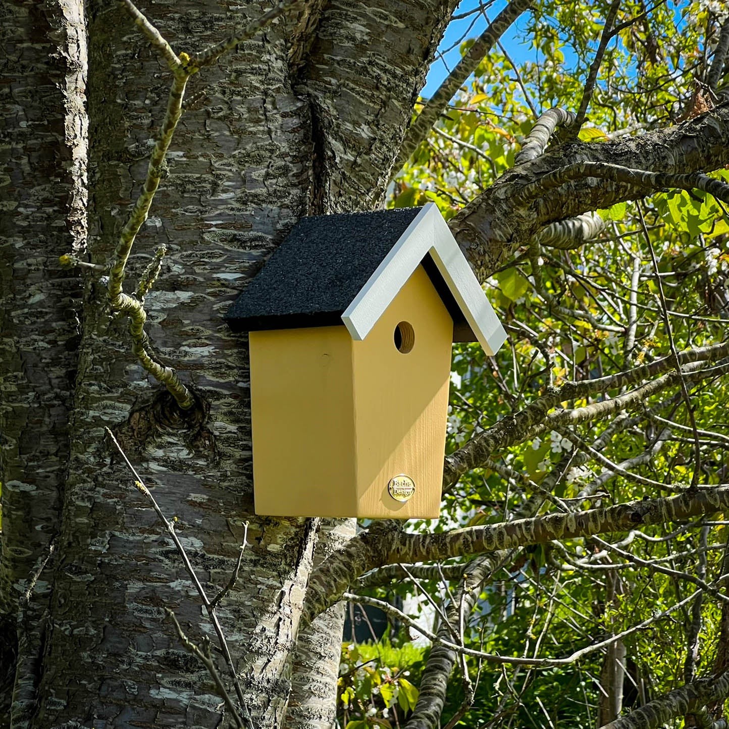 Fuglehuset 'Salvig'