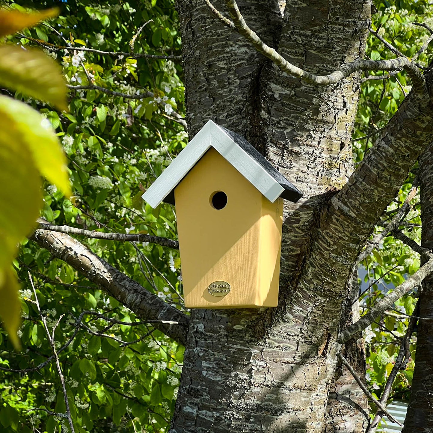Fuglehuset 'Salvig'