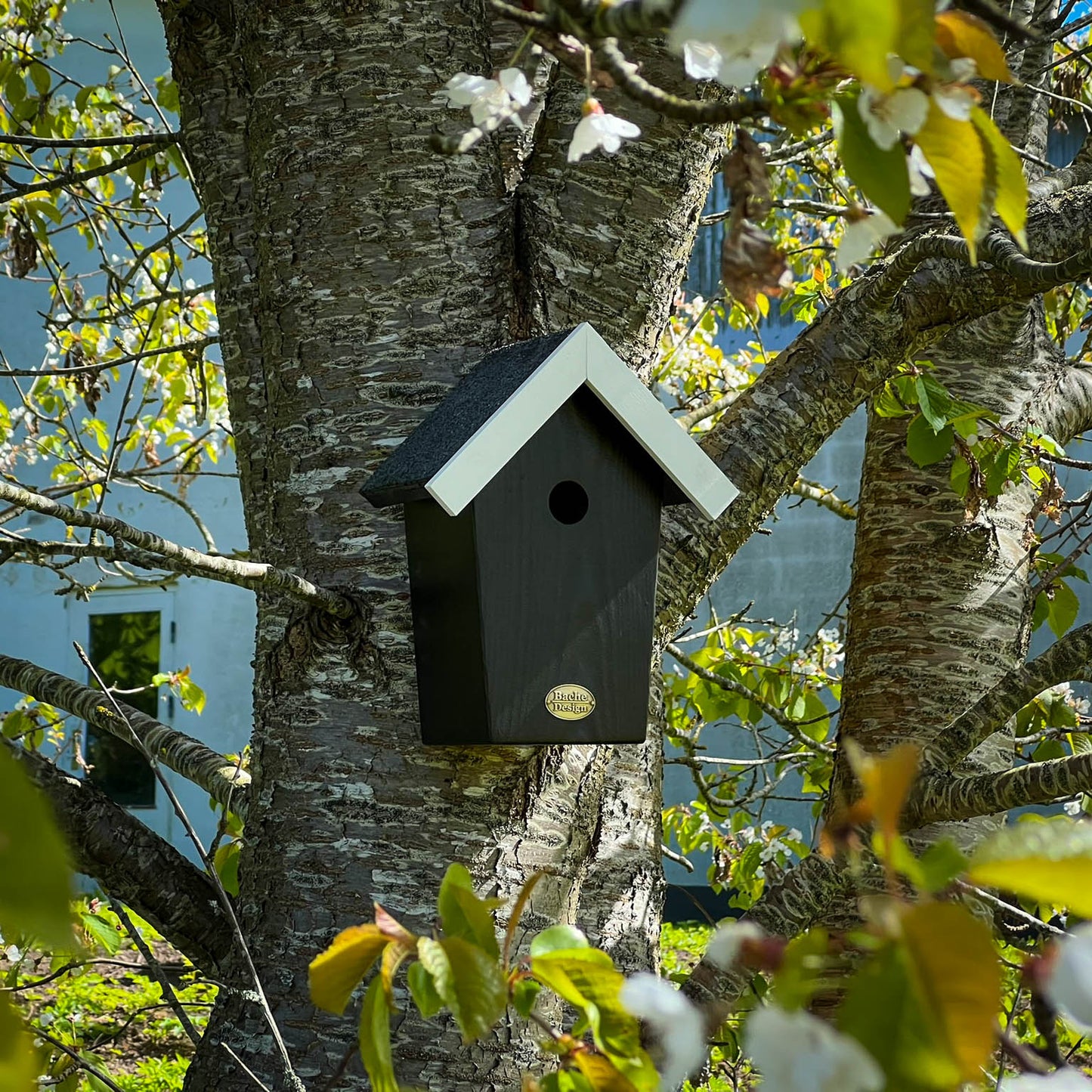 Fuglehuset 'Salvig'