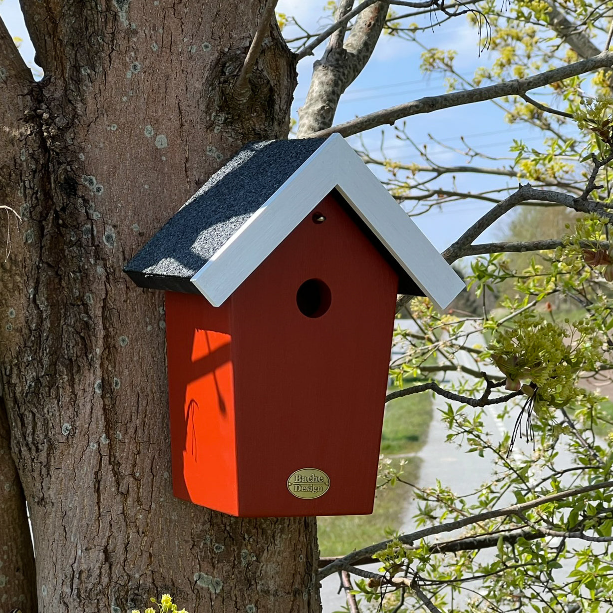 Fuglehuset 'Salvig'