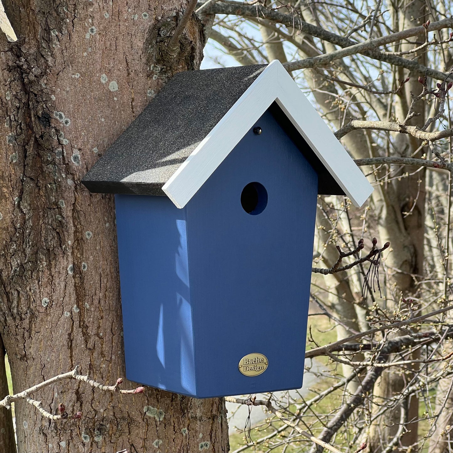 Fuglehuset 'Salvig'