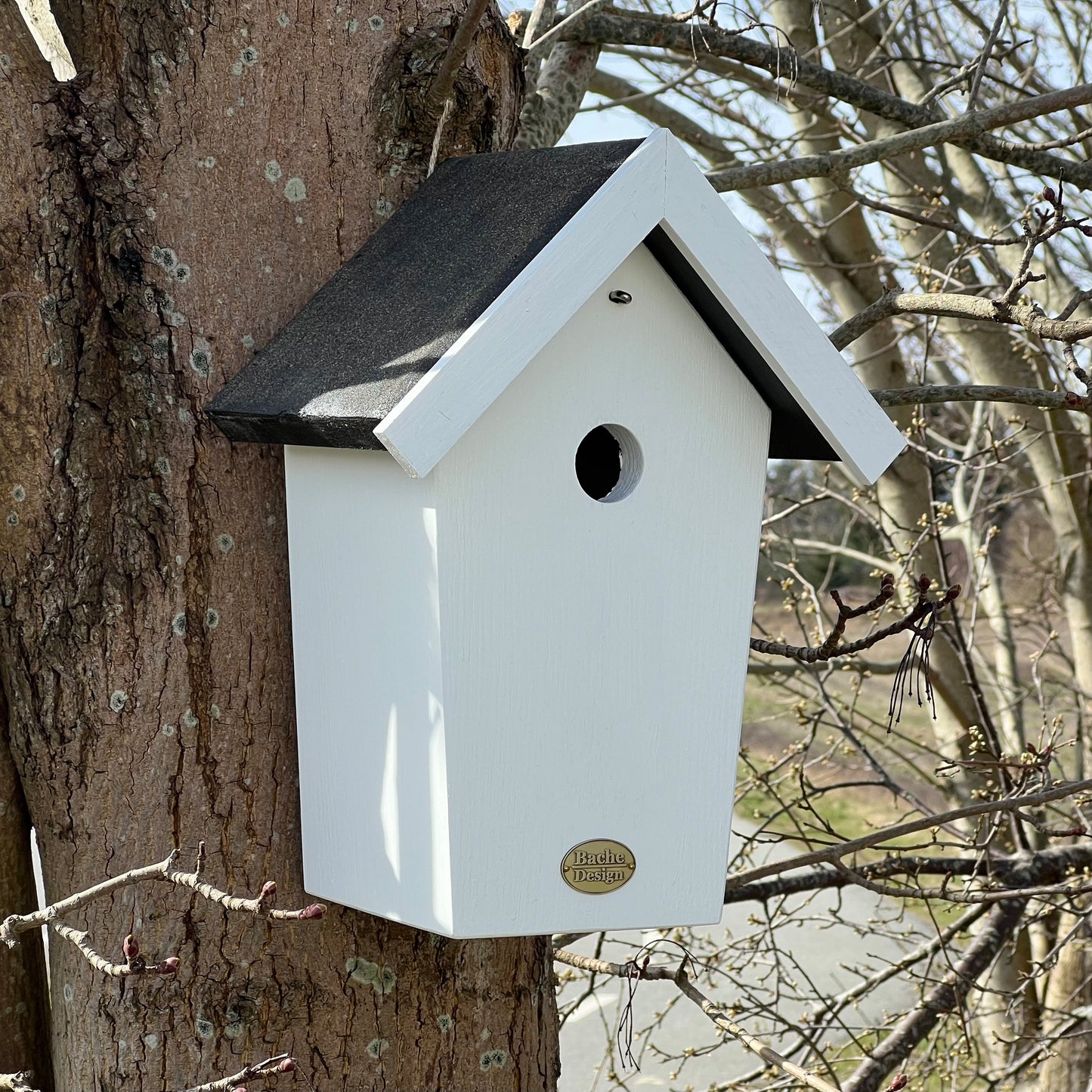 Fuglehuset 'Salvig'