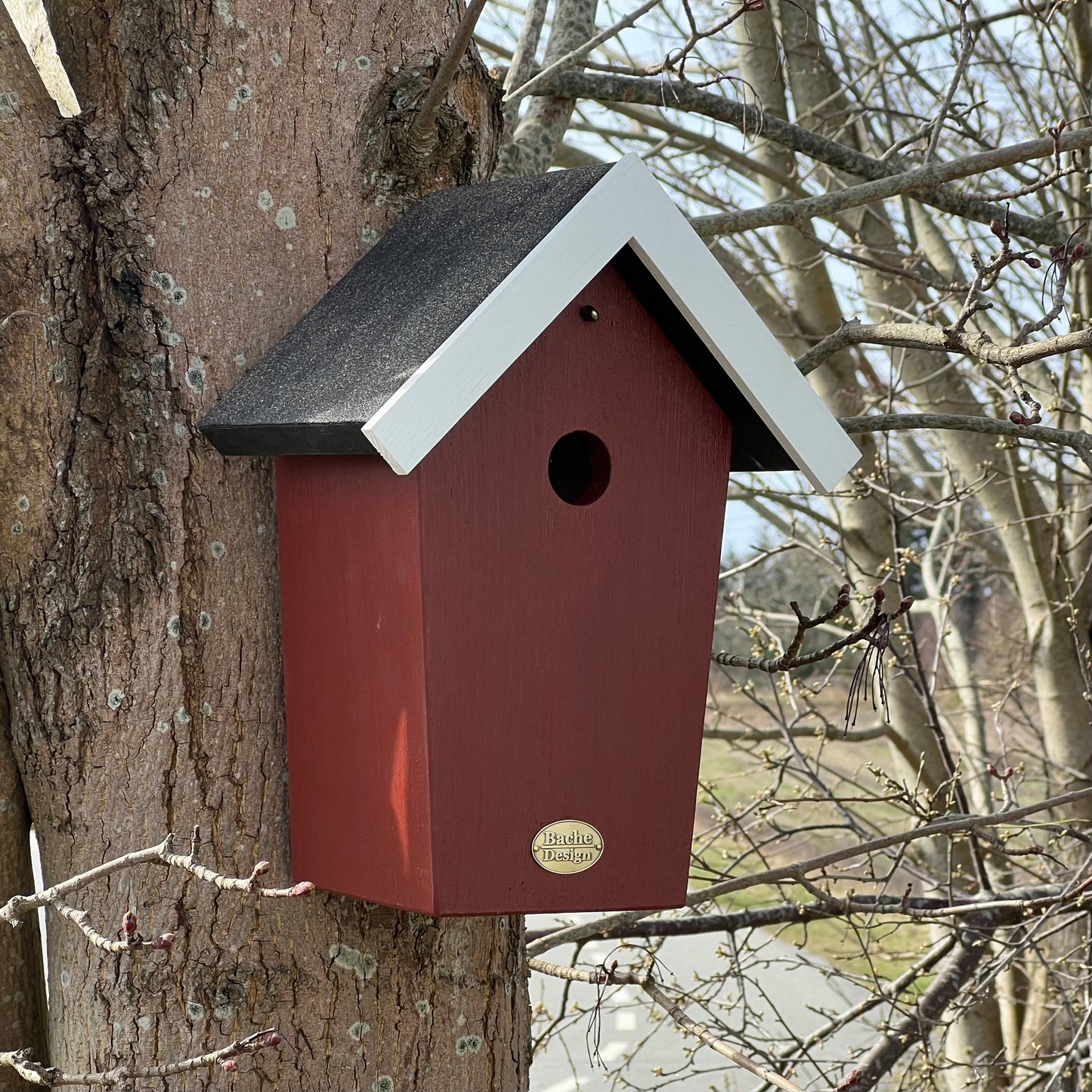 Fuglehuset 'Salvig'