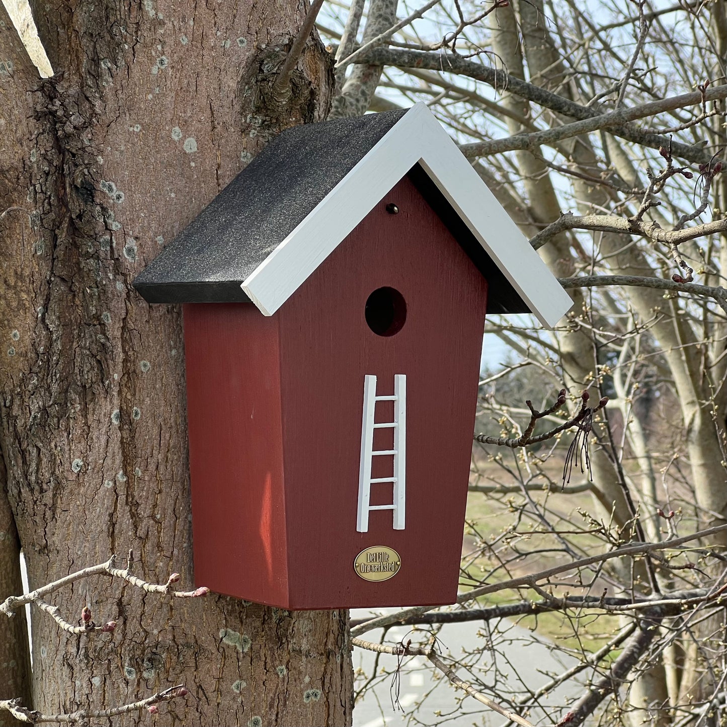 Fuglehuset 'Salvig'