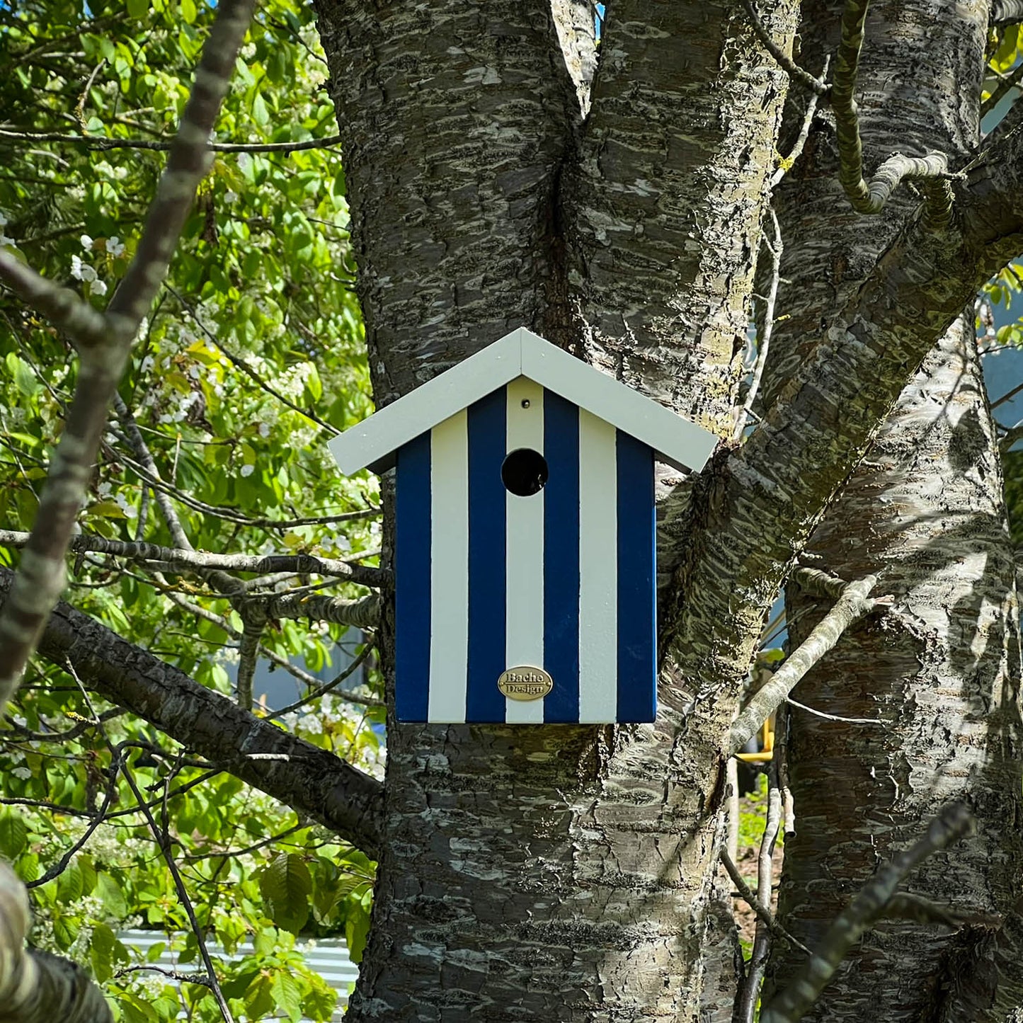 Fuglehus til musvitter - 'Badehus'