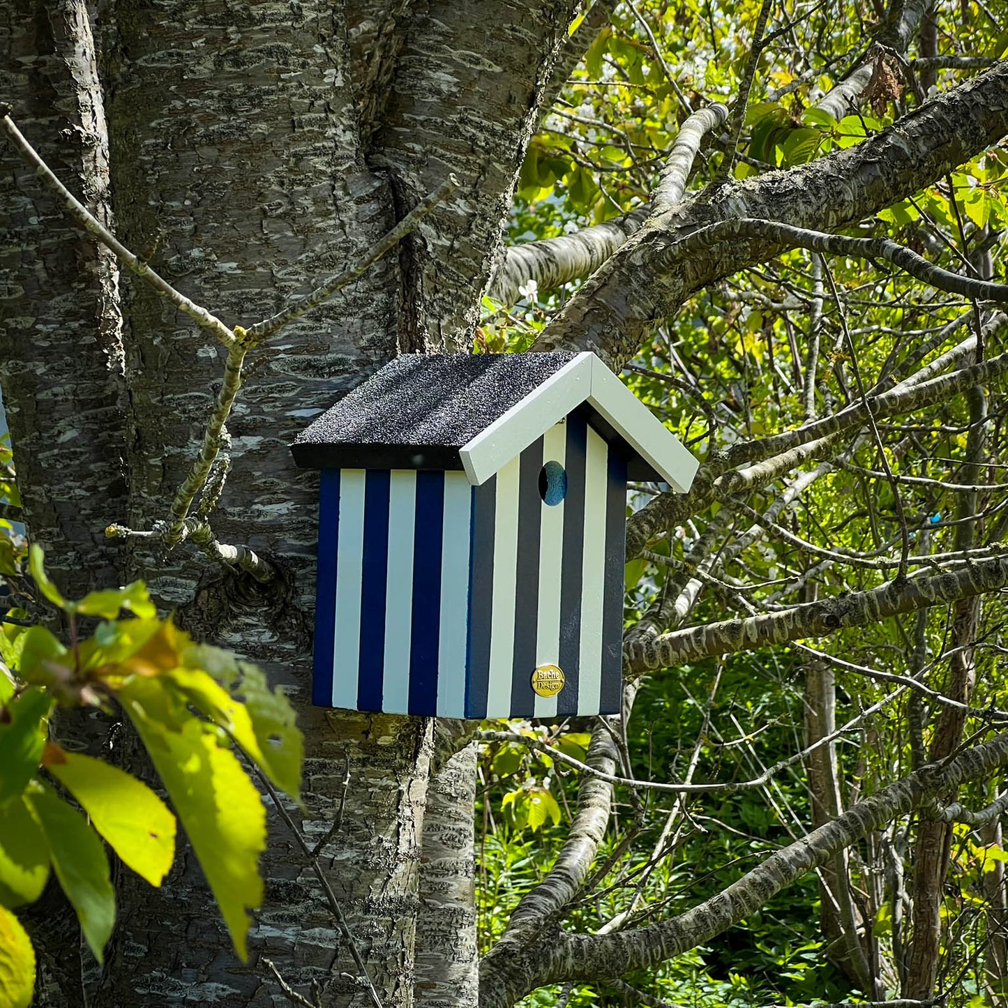 Fuglehus til musvitter - 'Badehus'