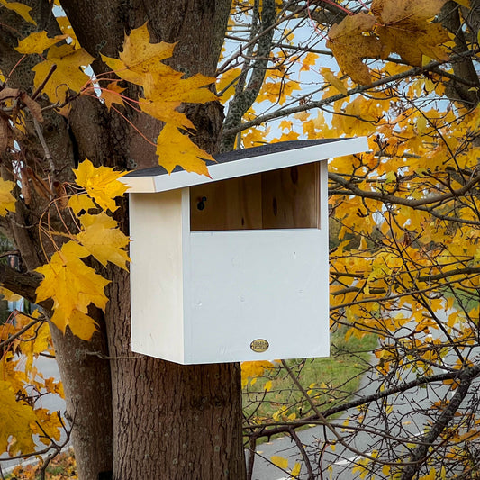 Redekasse til Tårnefalk