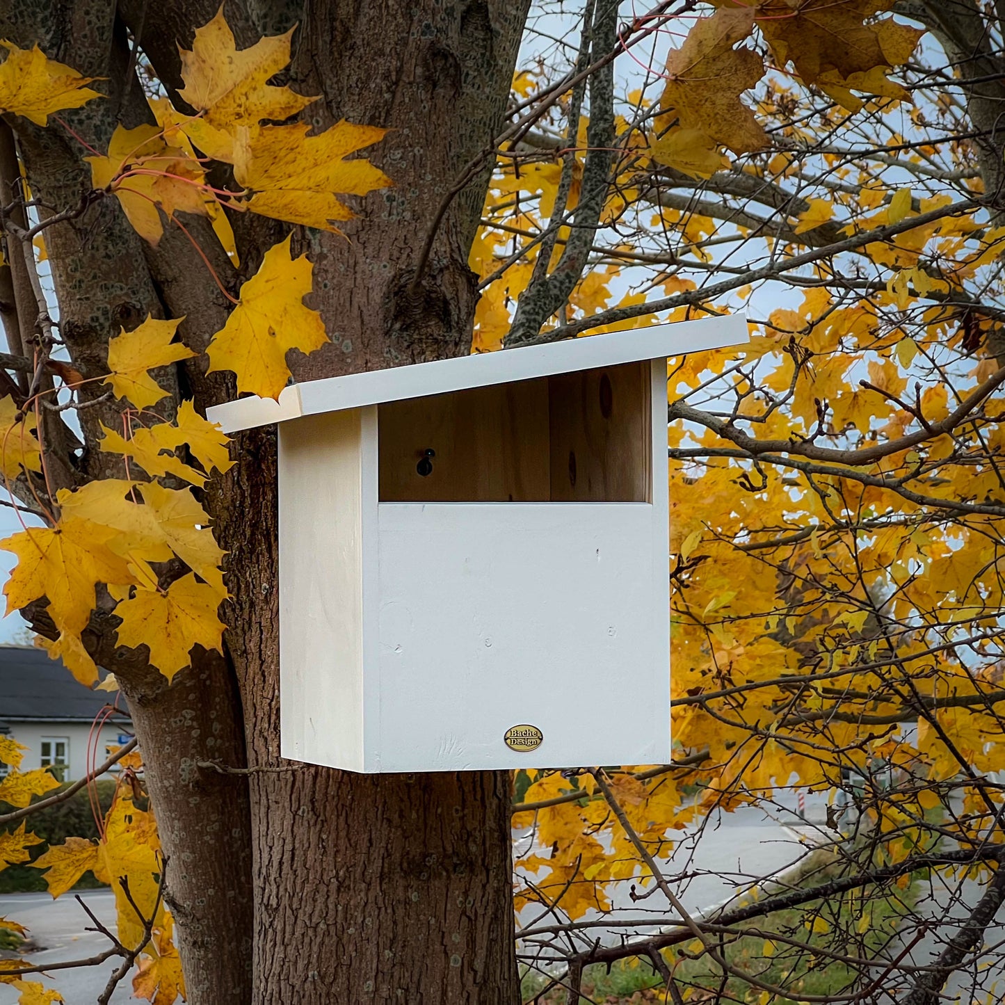 Redekasse til Tårnefalk