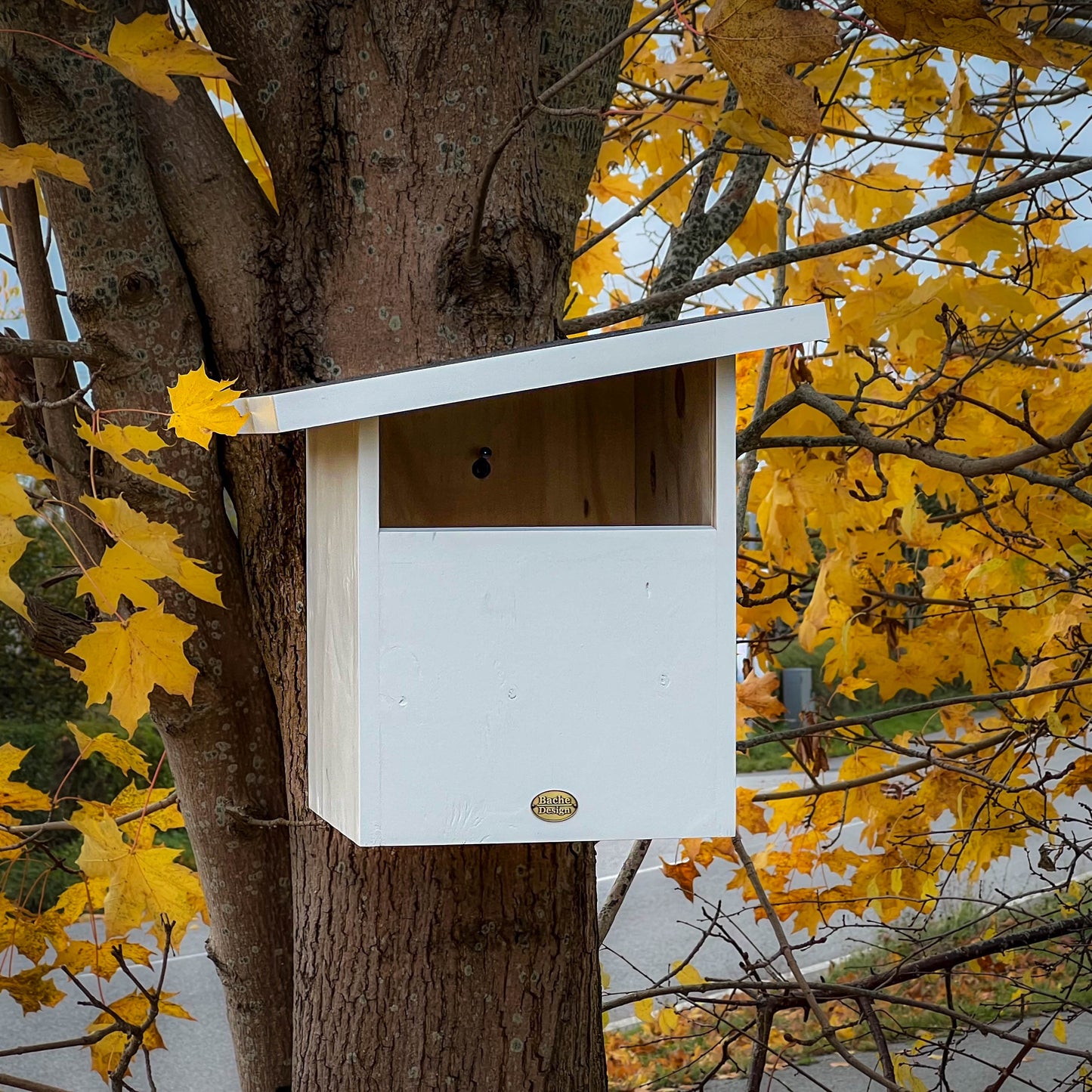 Redekasse til Tårnefalk