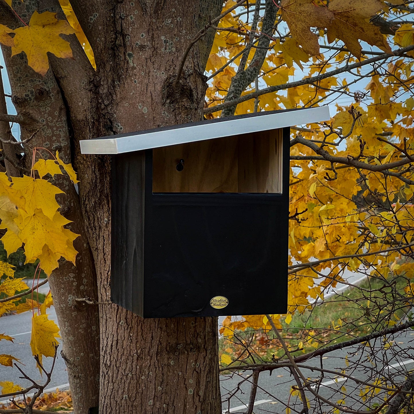 Redekasse til Tårnefalk