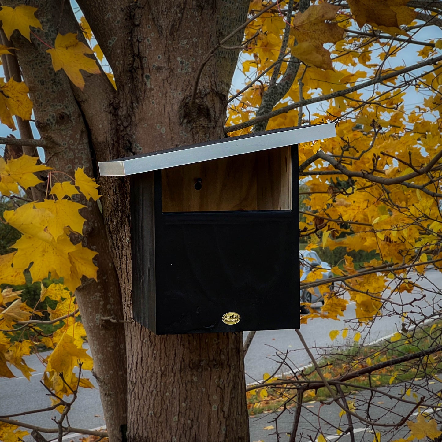 Redekasse til Tårnefalk