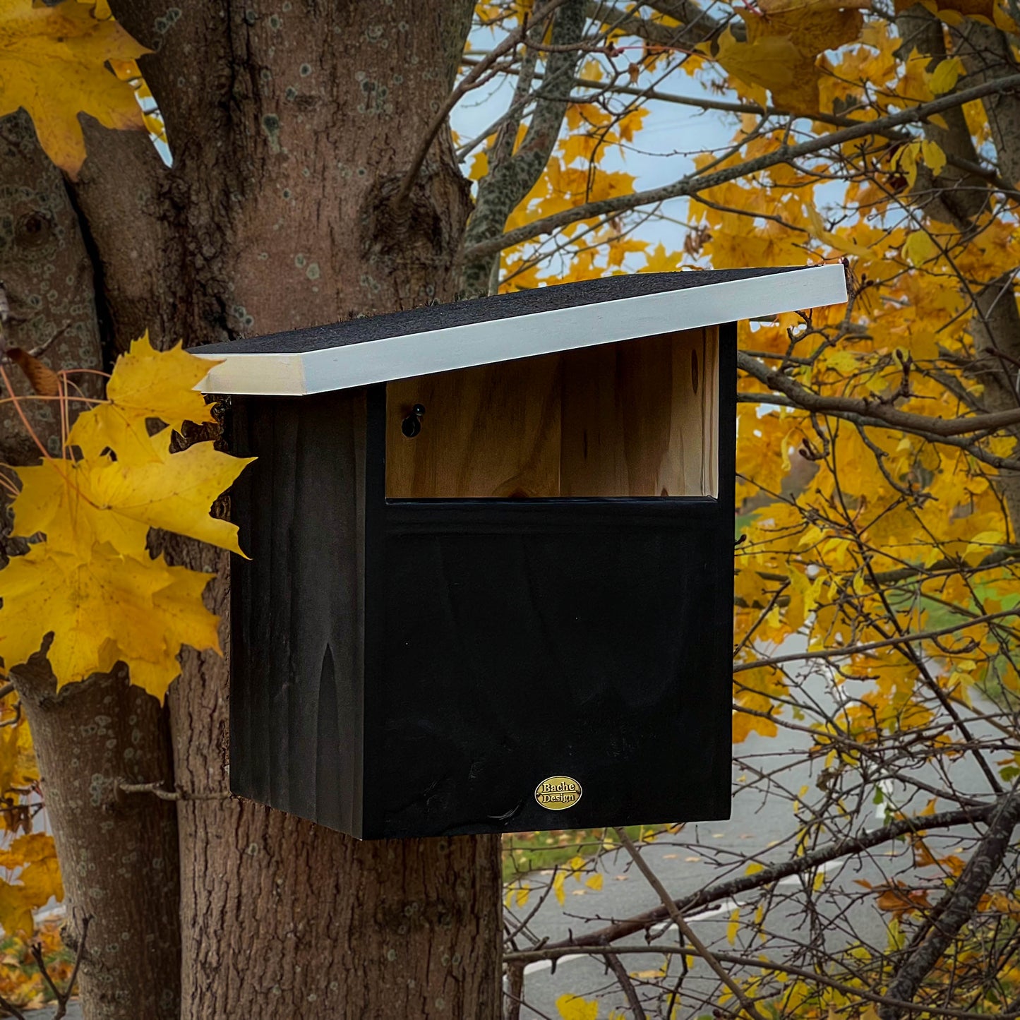 Redekasse til Tårnefalk