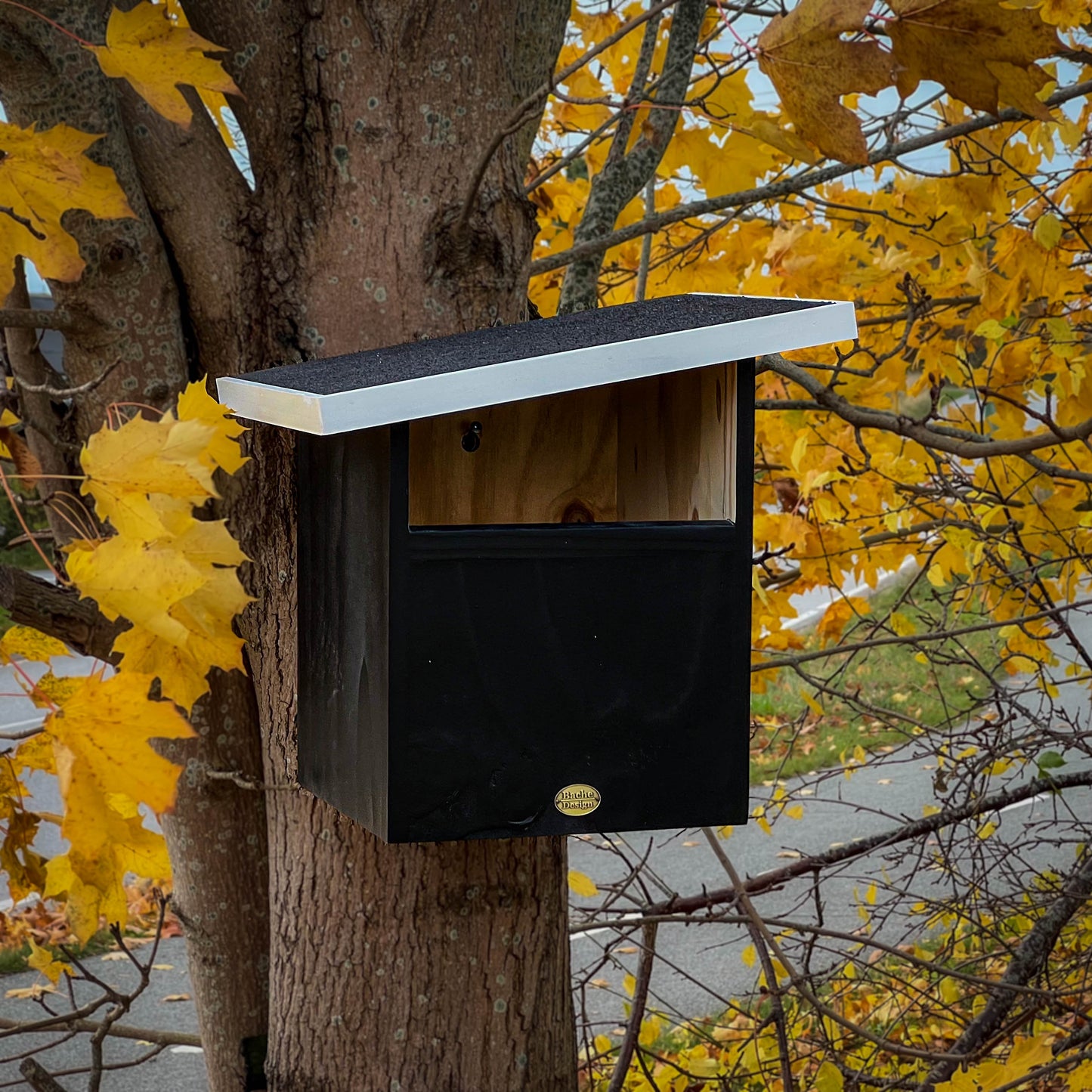 Redekasse til Tårnefalk