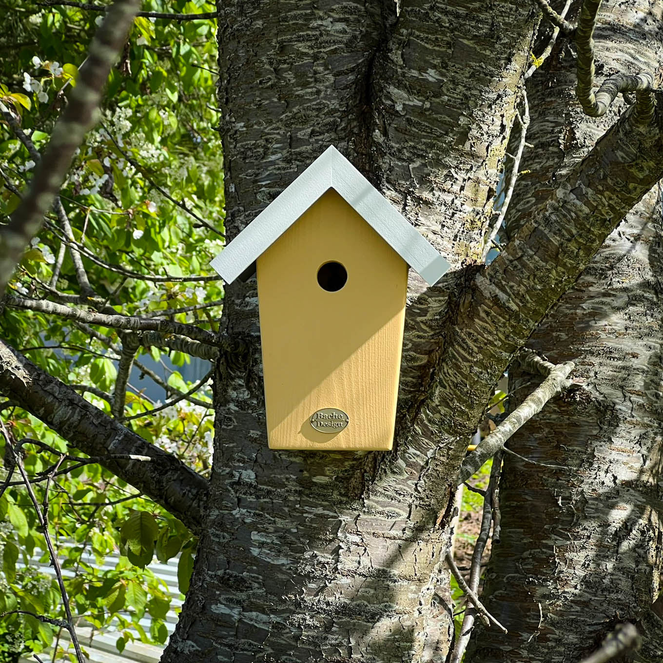 Fuglehuset 'Salvig'