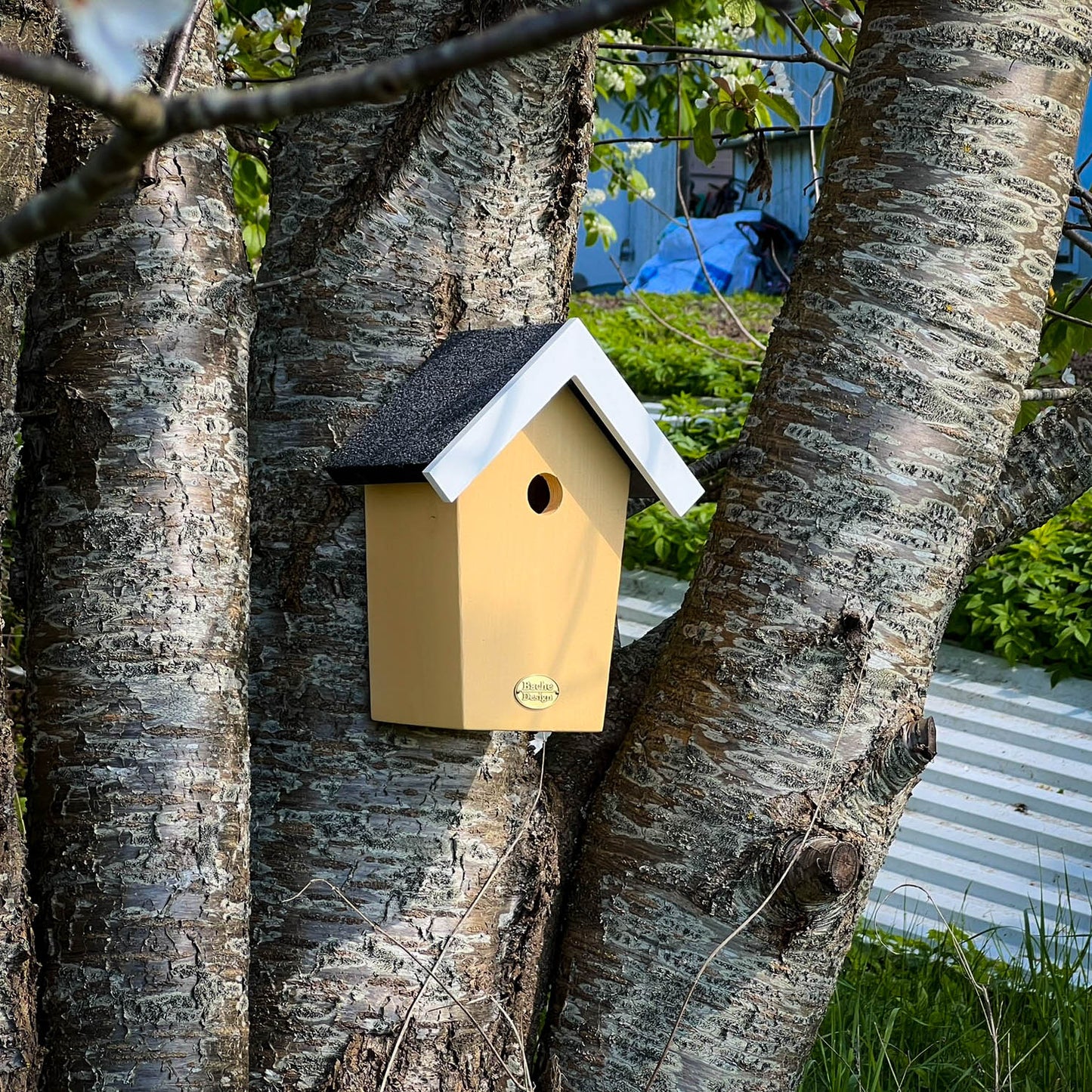 Fuglehuset 'Salvig'