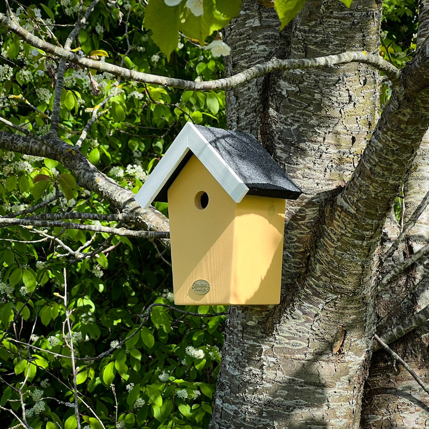 Fuglehuset 'Salvig'